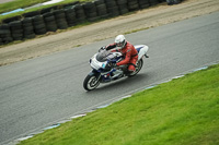 enduro-digital-images;event-digital-images;eventdigitalimages;lydden-hill;lydden-no-limits-trackday;lydden-photographs;lydden-trackday-photographs;no-limits-trackdays;peter-wileman-photography;racing-digital-images;trackday-digital-images;trackday-photos